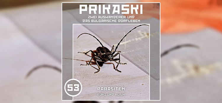 Folge 53: Parasiten – Euro und Musik
