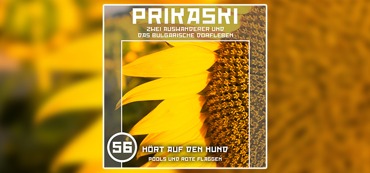 Folge 56:Hört auf den Hund – Pools und rote Flaggen