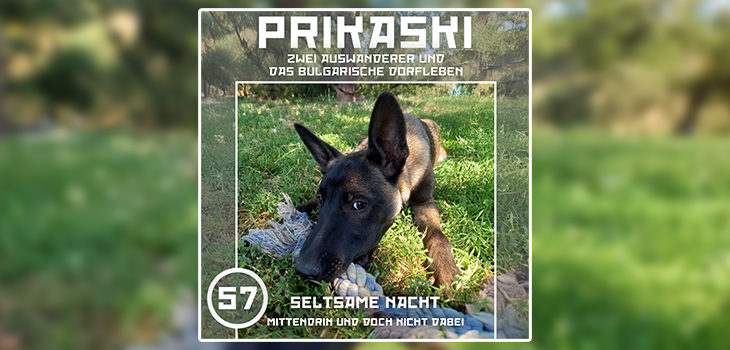 Prikaski Folge 57: Seltsame nacht - Mittendrin und doch nicht dabei