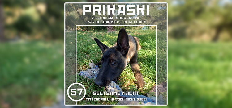 Folge 57: Seltsame Nacht – Mittendrin und doch nicht dabei