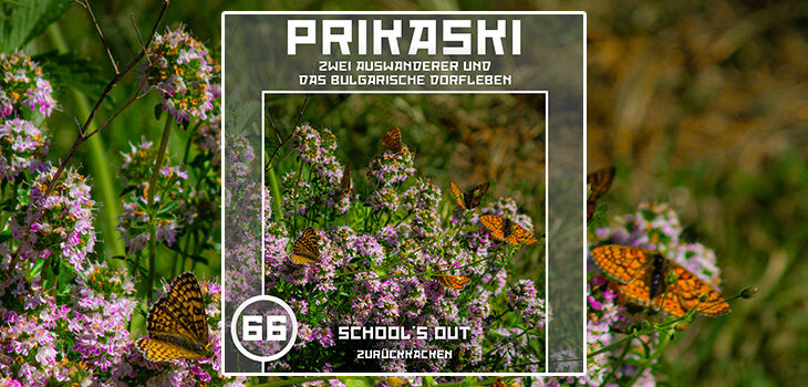 Prikaski Podcast Folge 66 - Schools out - zreückkacken